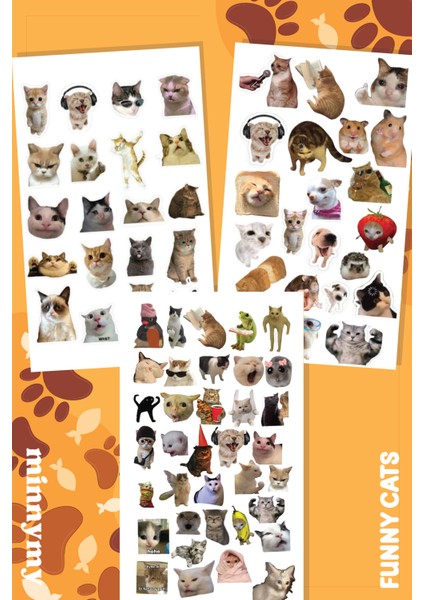 3'lü Cat Collection Sticker, Çıkartma, Ajanda, Günlük, Planlayıcı, Bullet Journal ,scrapbook