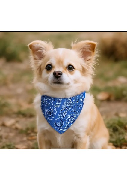 Üçgen Şeklinde, Ayarlanabilir Kedi ve Köpek Boyun Bandanası Mavi Renk fırsatları