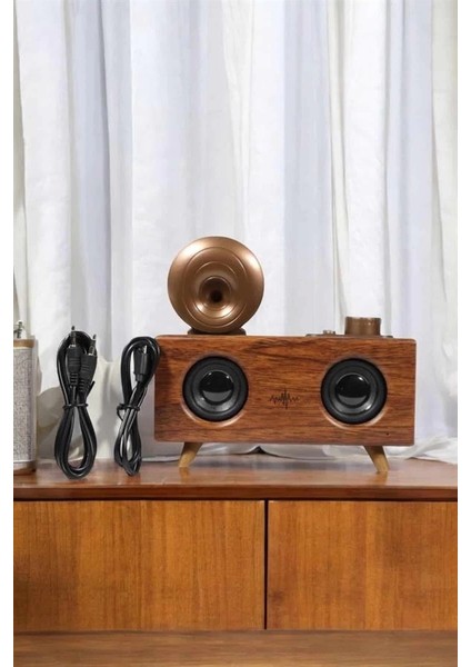 Bluetooth Hoparlör Ahşap Klasik Retro Gramofon Bluetooth Müzik Kutusu modelleri