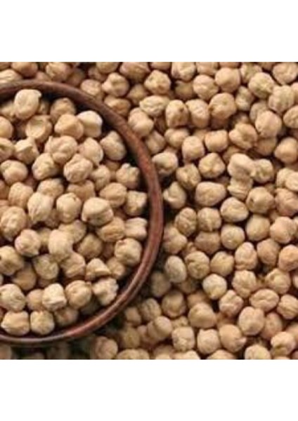 25 Adet Tohum Yeni Mahsül Geleneksel Nohut Tohumu Bol Verim Spriz Hediye Tohum Ata Tohum fiyatları