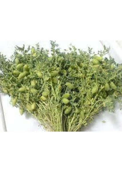 25 Adet Tohum Yeni Mahsül Geleneksel Nohut Tohumu Bol Verim Spriz Hediye Tohum Ata Tohum modelleri