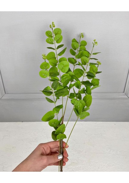 Yapay Okaliptus Dalı Yeşil