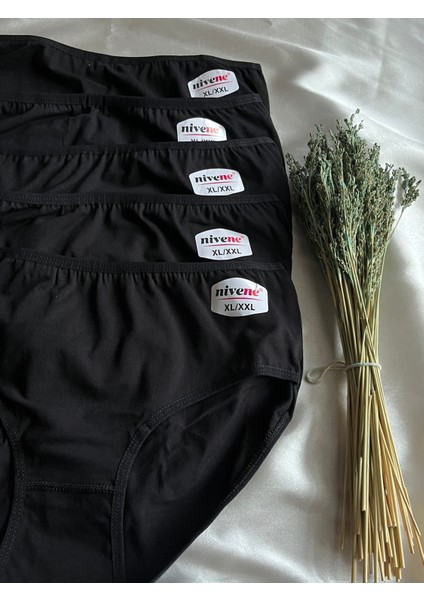Kadın Bato Yüksek Bel Pamuklu Külot 5 Li Paket fiyatları