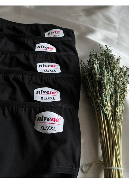 Kadın Bato Yüksek Bel Pamuklu Külot 5 Li Paket modelleri