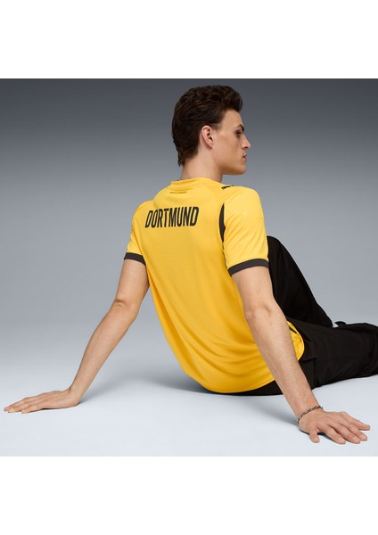 Borussia Dortmund Cup Jersey Erkek Sarı Futbol Forma 78011203 fiyatları