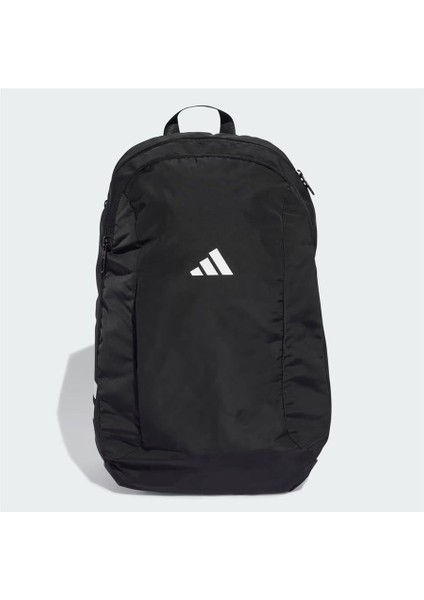 Fı Apwr Bp modelleri