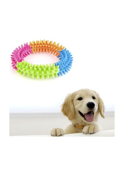 bulurum köpek oyuncağı yuvarlak diş temizleyici oyuncak