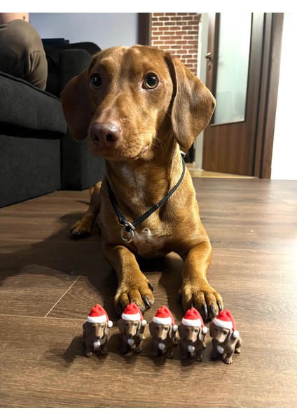 Santa Dog Figür Seti – Noel Şapkalı Köpek Dekoru (5’li Set) fiyatları