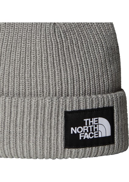 Salty Lined Unisex Gri Outdoor Bere NF0A8CGZDYX1 fiyatları