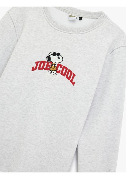 Uzun Kollu Bisiklet Yaka Lisanslı Snoopy Baskılı Sweatshirt modelleri