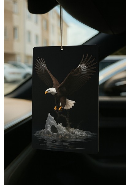 Enerji Serisi - Araba Ayna Asma Kokusu ve Dekoratif Oto Aksesuarı fırsatları