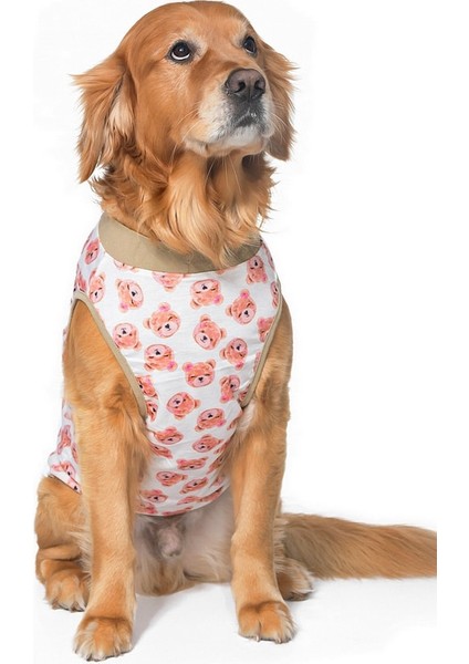 Orta ve Büyük Irk T-Shirt Pius