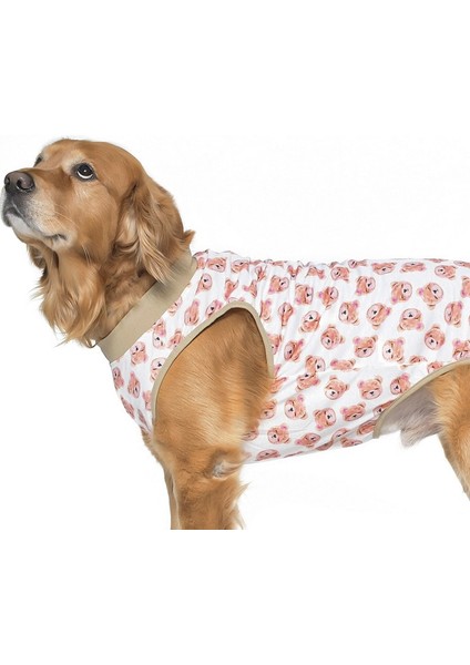 Orta ve Büyük Irk T-Shirt Pius fırsatları