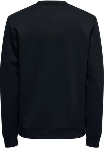 O Yaka Siyah Erkek Sweatshırt Onsluca Lıfe Reg Ls Crew Sweat fiyatları