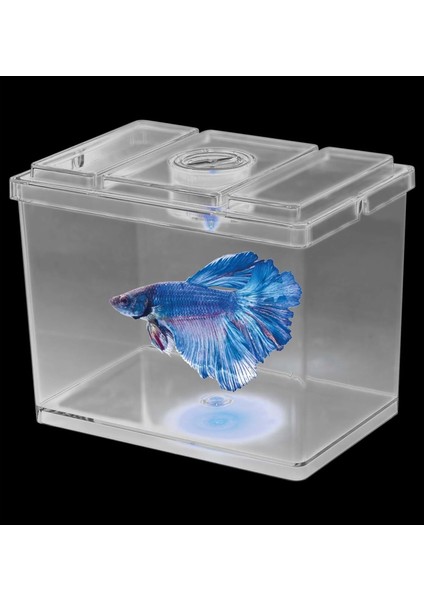 M-B03 Ledli Beta Tankı