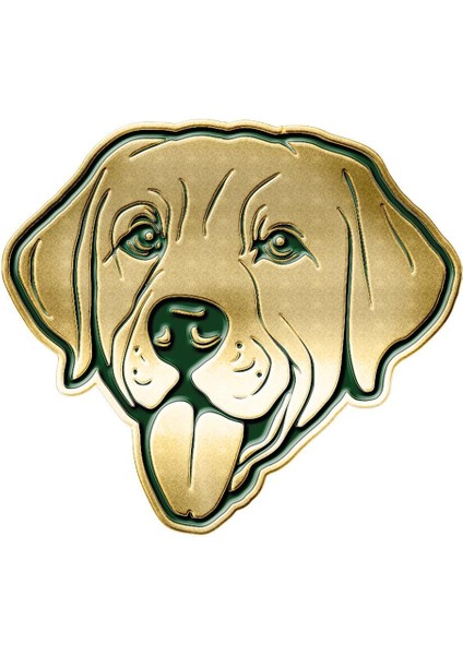 Labrador Dog Ceket Rozeti GN12 Celery