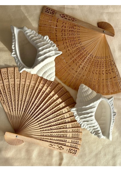 Deniz Kabuğu Dekoratif Mumluk, Takı Tabağı