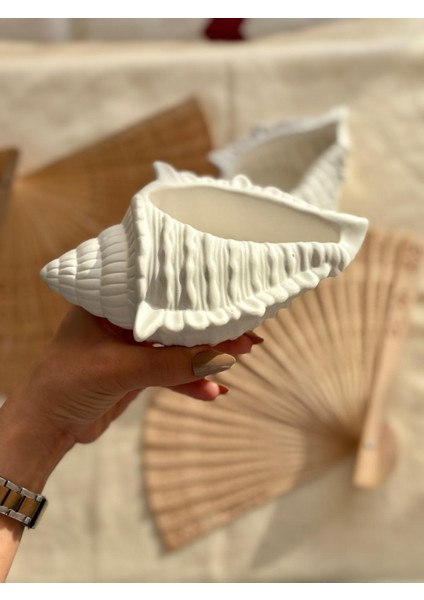 Deniz Kabuğu Dekoratif Mumluk, Takı Tabağı fiyatları
