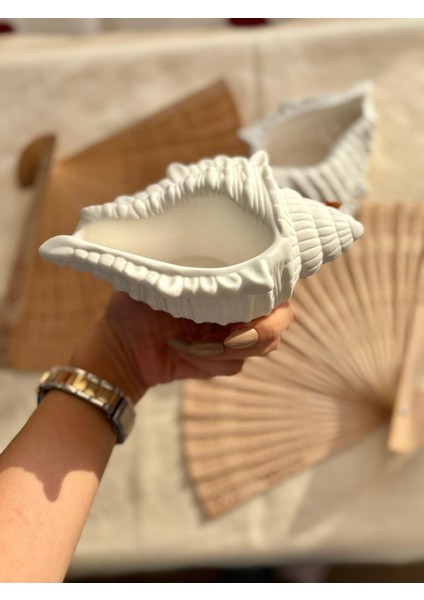 Deniz Kabuğu Dekoratif Mumluk, Takı Tabağı modelleri