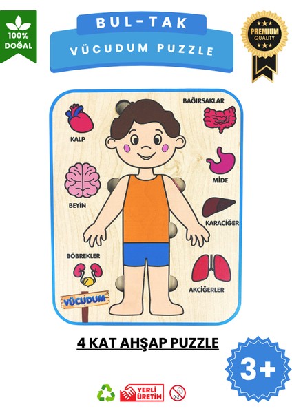 Vücudumu Keşfediyorum – Erkek Çocuk Vücut ve Organlar Ahşap Puzzle Oyuncak