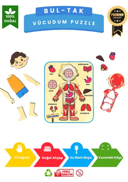 Vücudumu Keşfediyorum – Erkek Çocuk Vücut ve Organlar Ahşap Puzzle Oyuncak modelleri