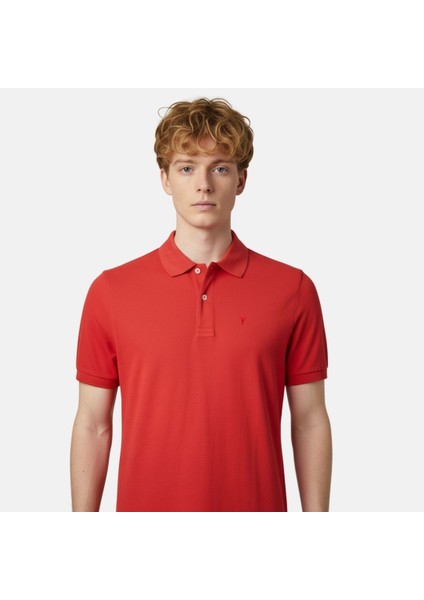 Polo Tshirt fiyatları