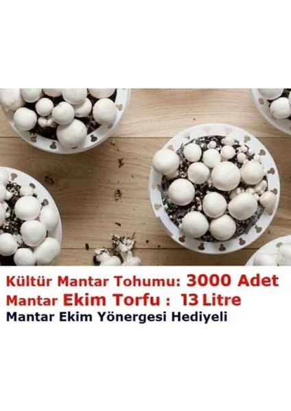 3000 Adet Kültür Mantar Tohumu ve 13 Litre Kültür Mantarı Ekim Torfu