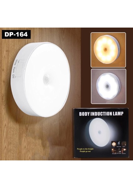 Sensörlü Tekli Lamba - Lisinya