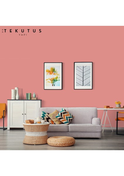 Momento Silan Silikonlu Iç Cephe Boyası 15 L Alev modelleri