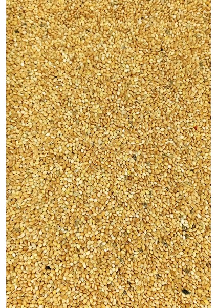 Muhabbet ve Tüm Egzotik Kuşlar Için Doğal Taze Tane Sarı Darı - 1 kg modelleri