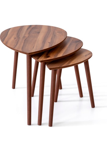 Barla 3'lü Zigon Sehpa fırsatları