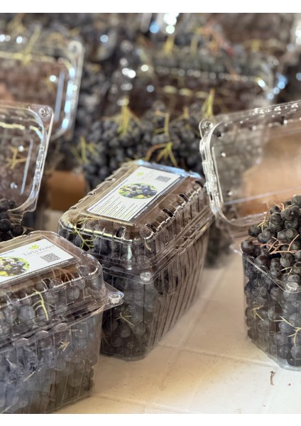 Taze Aronya Meyvesi 3 kg (Tarla Kuşu, Ilaçsız, Doğal Üretim, Yeni Hasat) indirimleri