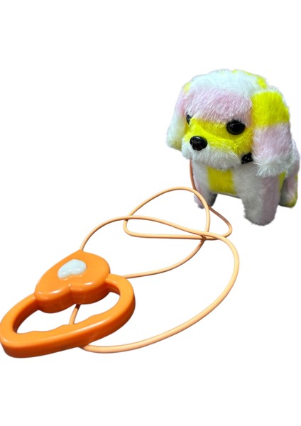 Renkli Pilli Tasmalı Yürüyen Köpek