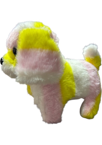 Renkli Pilli Tasmalı Yürüyen Köpek fırsatları