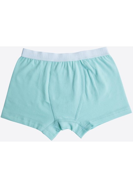 Organik Elephant 3'lü Boxer Mavi modelleri