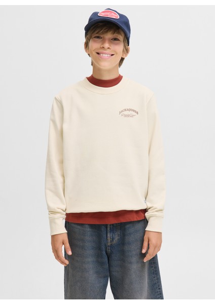 Baskılı Erkek Çocuk Krem Sweatshırt 12269298 fiyatları
