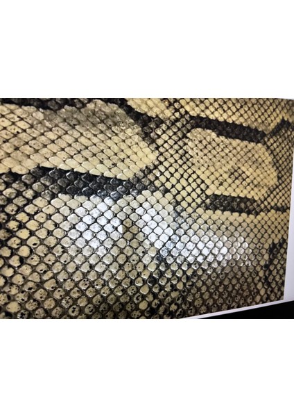 1960' Lar Yılan Derisi Çanta - 33 cm x 19 cm indirimleri