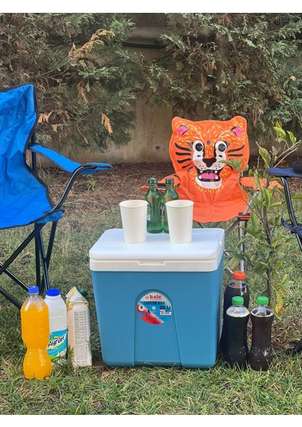 Buzluk Termos Set-25 Lt Buzluk Termos Eps (1066 Coolerbox) +2 Adet K-250 Buz Aküsü fırsatları