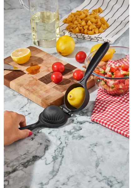 Narenciye Sıkacağı fiyatları