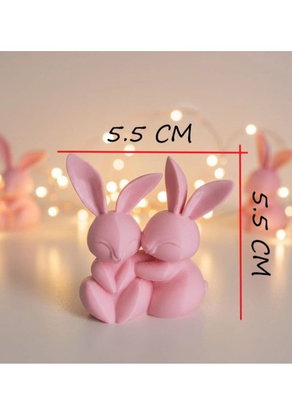 Ev Hediyesi Sevimli Tavşanlar Dekoratif Obje Biblo
