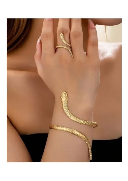 14K Altın Kaplama Yılan Bilezik Yüzük Set fiyatları