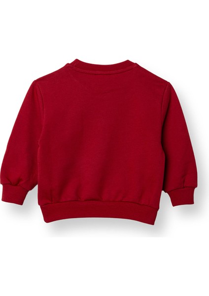 Erkek Bebek Sweatshirt Şardonlu Iki Iplik Bisiklet Yaka Uzun Kol fiyatları