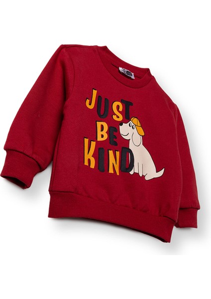 Erkek Bebek Sweatshirt Şardonlu Iki Iplik Bisiklet Yaka Uzun Kol modelleri