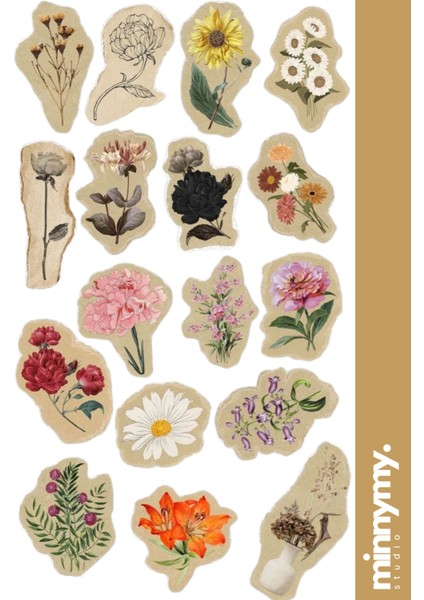 Flower Collection Sticker, Çıkartma, Ajanda, Günlük, Planlayıcı, Bullet Journal ,scrapbook