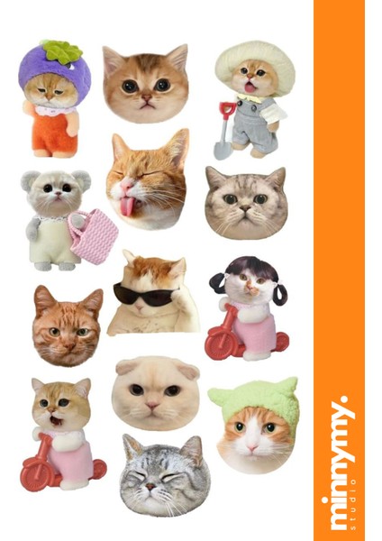 Cat Collection Sticker, Çıkartma, Ajanda, Günlük, Planlayıcı, Bullet Journal ,scrapbook