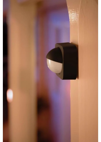 Hue Akıllı Dış Mekan Hareket Sensörü 15W Floodlight Set