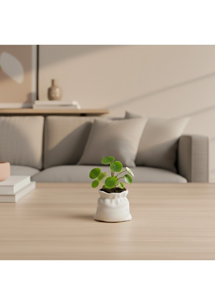 Kese Saksı fiyatları