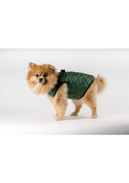 Kedi Köpek Kapitone Yelek modelleri