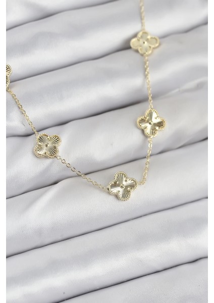 Bfs Pirinç Gold Renk Yonca Kadın Kolye