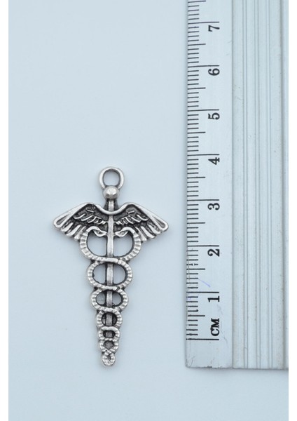 Tıp Sembolü Kadüse Gümüş Kaplama Örme Zincir Kolye modelleri